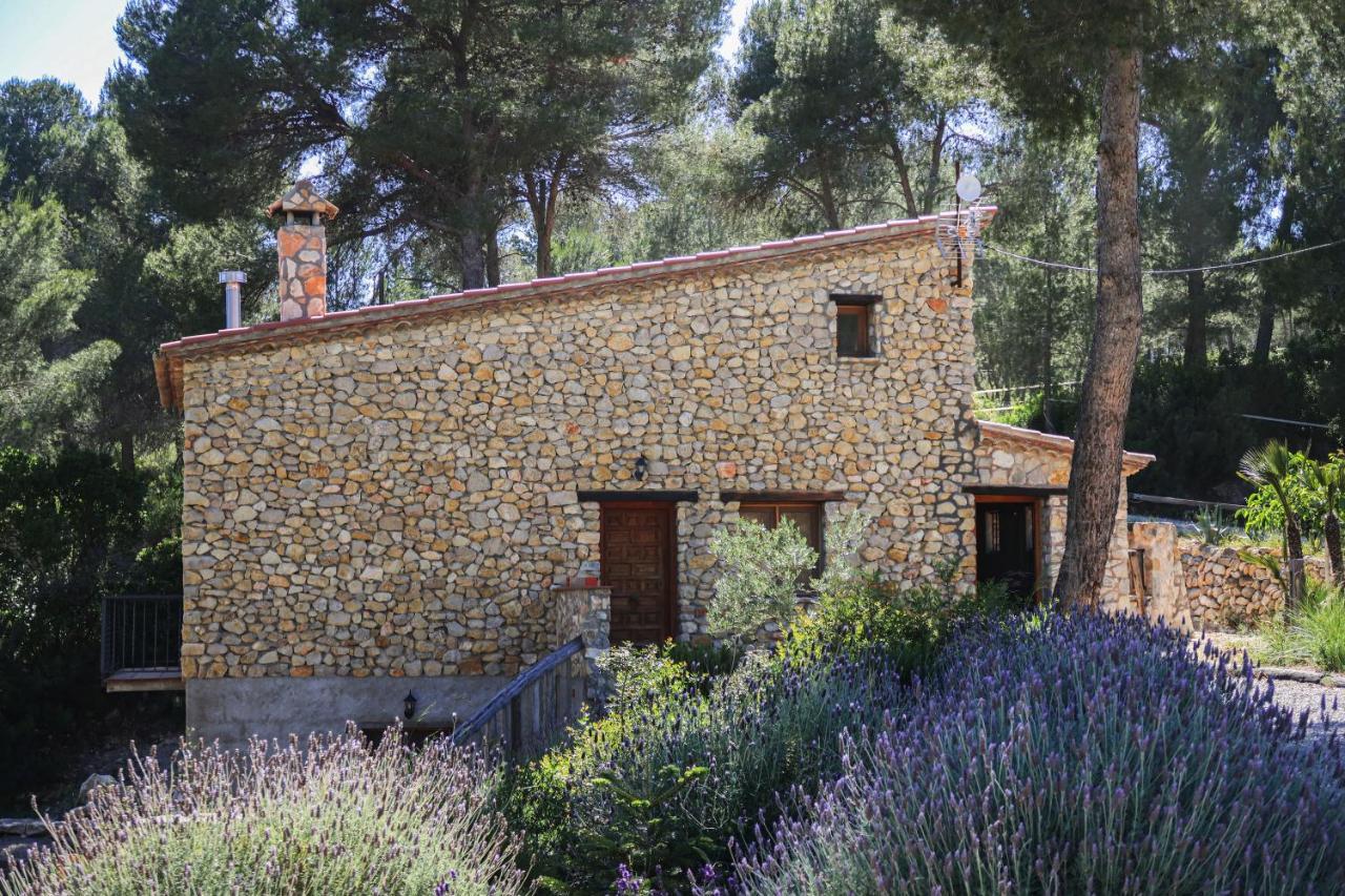 Masia Pou De La Vinya Apartment