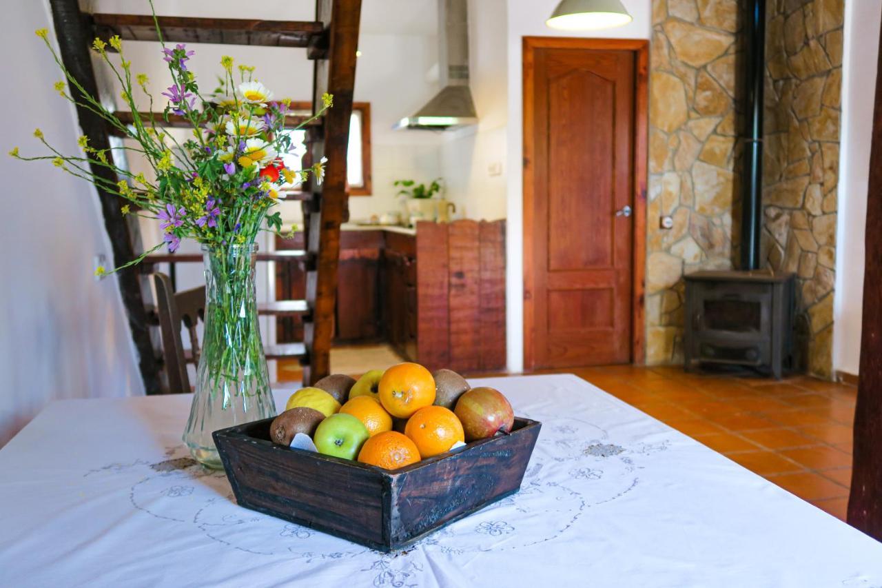 Apartment Masia Pou De La Vinya